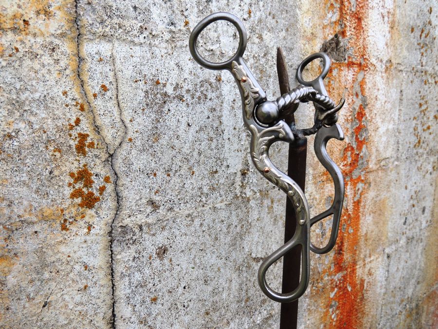 02-S-Snaffle Floral